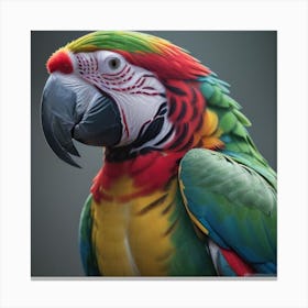 Colorful Parrot Canvas Print