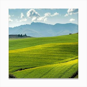 Fields Of Green Canvas Print