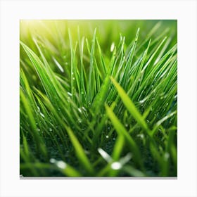 Grass Wallpaper 1 Canvas Print