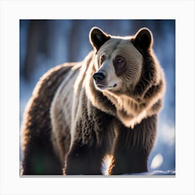 Grizzly Bear Canvas Print