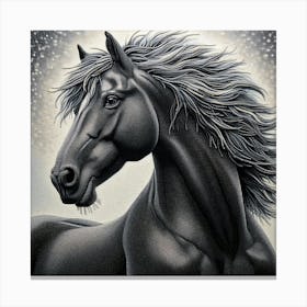 Creative Horse Beauty Illustration Nr 199 Canvas Print