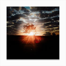 Sunset In The Field Canvas Print