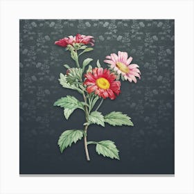Vintage Red Aster Flowers Botanical on Slate Gray Pattern n.1455 Canvas Print