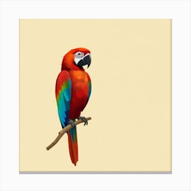 Parrot On A Branch 1 Canvas Print