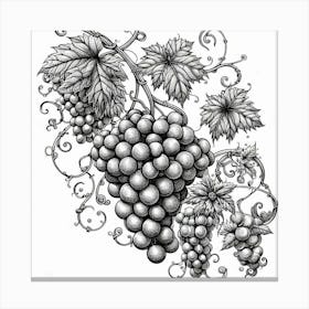 Line Art grapes and vines 1 Canvas Print