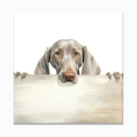 Weimaraner Dog 4 Canvas Print