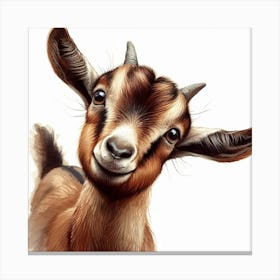 Cute Goat Canvas Print