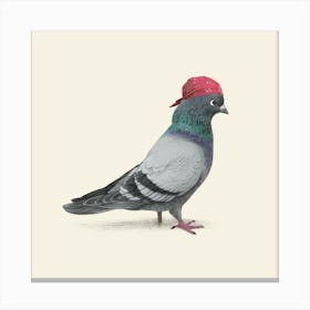 Pirate Pigeon Canvas Print