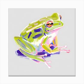 Green Tree Frog 02 Canvas Print