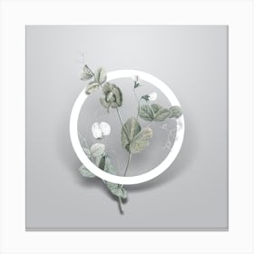Vintage White Pea Flower Minimalist Flower Geometric Circle on Soft Gray n.0056 Canvas Print
