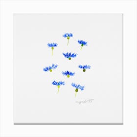 Blue Cornflowers Watercolor Artwork 1 Canvas Print