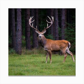 Deer In The Forest Canvas Print