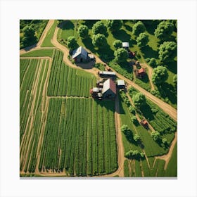 Aerial View Of A Farm 1 Canvas Print