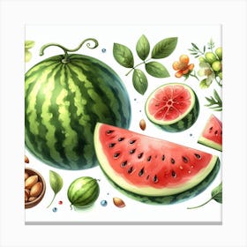 Watermelon 3 Canvas Print