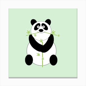 Panda Bear Canvas Print