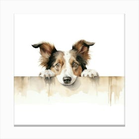 Border Collie 10 Canvas Print