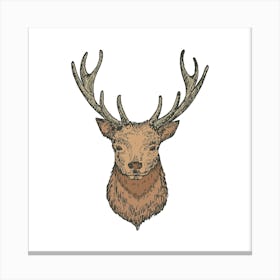 Deer Head Vector Illustration Canvas Print