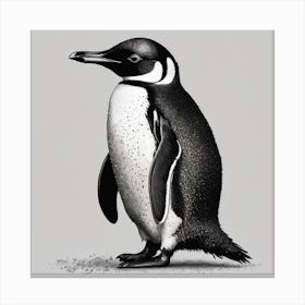 Penguin Canvas Print