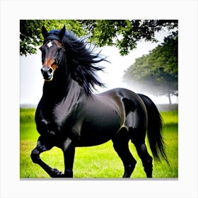 Beautiful Horse Canvas Print