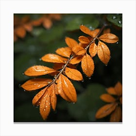 Orange Leaves In The Rain Canvas Print