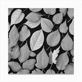 Leaves On A Black Background 1 Canvas Print