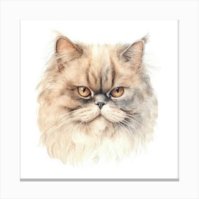 Persian Himalayan Cat Portrait 1 Canvas Print