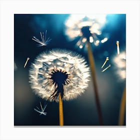 Fluffy White Dandelions against Blue Canvas Print