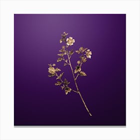 Gold Botanical Cape African Queen on Royal Purple n.1490 Canvas Print