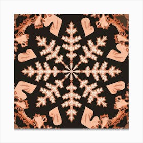 Snowflake 1 Canvas Print