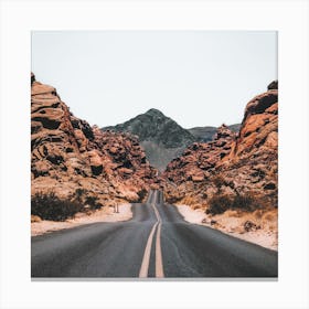 Road In The Desert Canvas Print