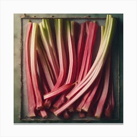 Rhubarb 105 Canvas Print