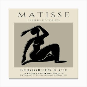 Matisse (14) Canvas Print