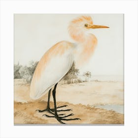 Egret 1 Canvas Print