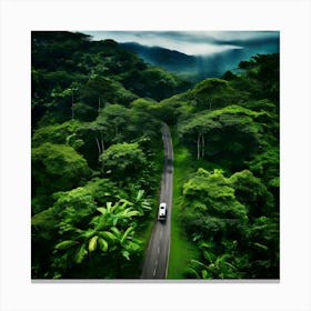 Road Through The Rainforest Canvas Print