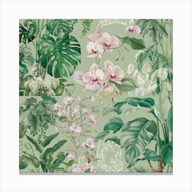 Modern Botanical Illustration 5 Canvas Print