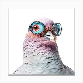 Pigeon With Goggles Canvas Print