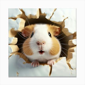 Guinea Pig 31 Canvas Print