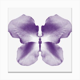 Purple Rose Petal Butterfly Canvas Print