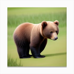 Brown Bear Canvas Print