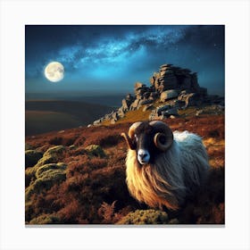Sheep Against The Night Sky Canvas Print