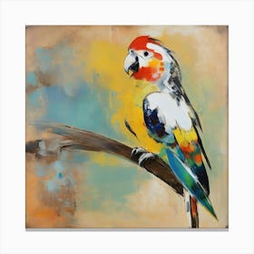 Parrot of Cockatiel 1 Canvas Print