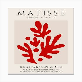 Matisse (26) Canvas Print