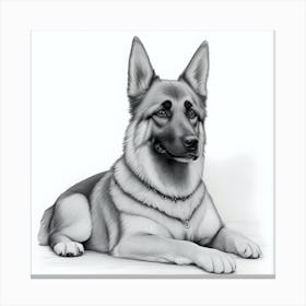 German Shepherd Dog Canvas Print