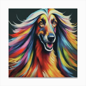 Afghan Hound 3 Canvas Print