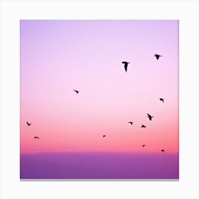 Flock Of Birds At Sunset Canvas Print