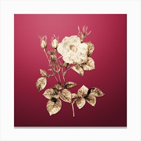Gold Botanical White Rose of York on Viva Magenta n.0092 Canvas Print