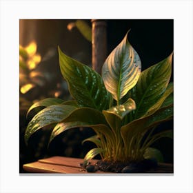 Plant In A Pot Canvas Print