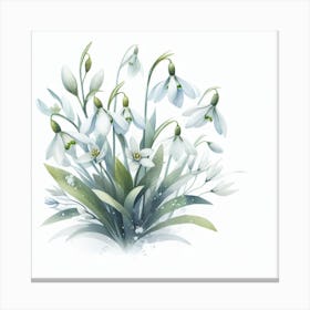 Flowers of Snowdrops 3 Canvas Print