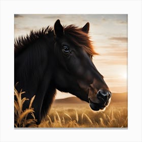 Sunset Horse Canvas Print