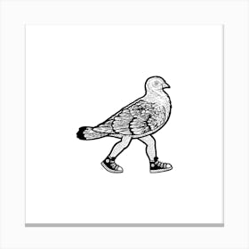 Pigeon Canvas Print